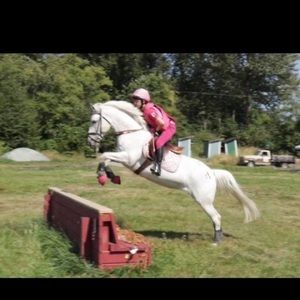 Meet your Posher, Angie